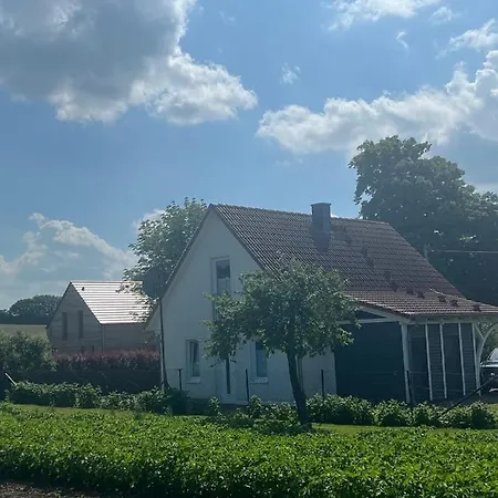 Muschel Kalkhorst
