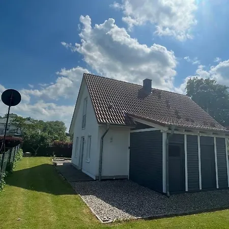 Muschel Kalkhorst